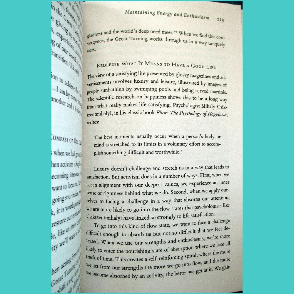 Book - Active Hope: How to Face the Mess We're in Without Going Crazy - Picture 9 of 16
